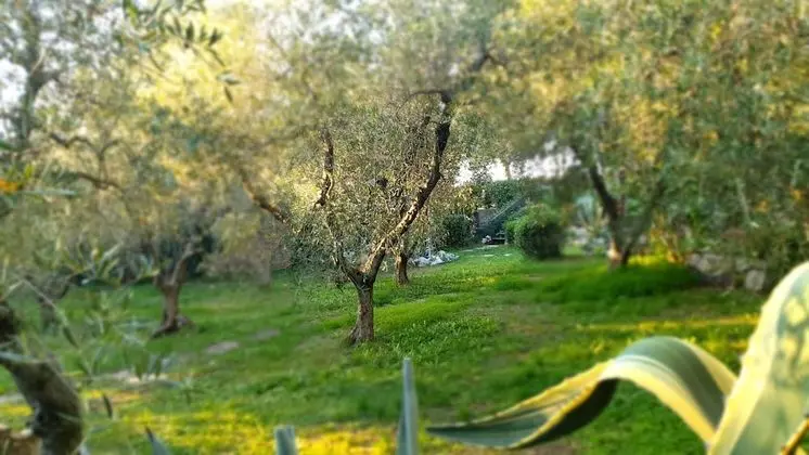 Villa, 5 Yatak Odası, Şömine