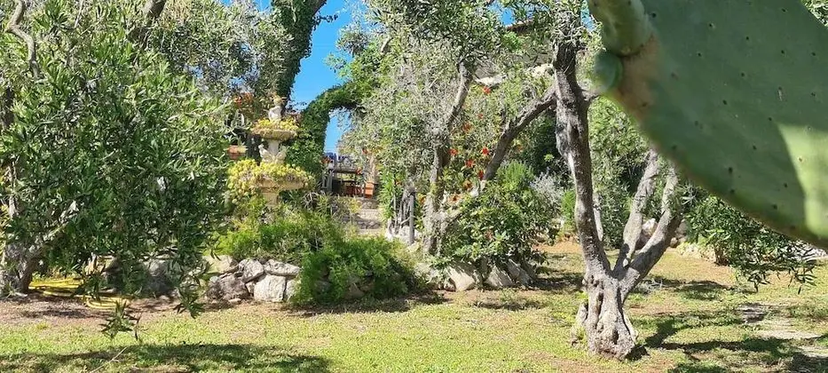 Villa, 5 Yatak Odası, Şömine