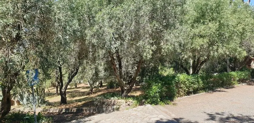 Villa, 5 Yatak Odası, Şömine