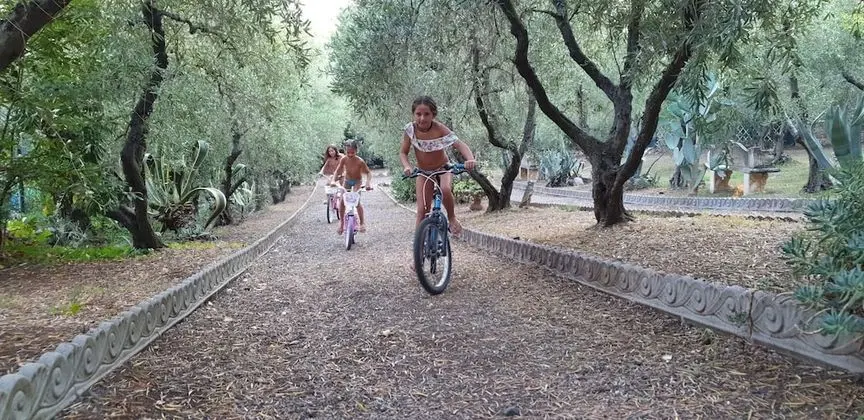 Villa, 5 Yatak Odası, Şömine