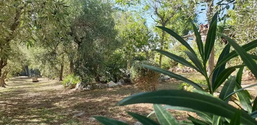 Villa, 5 Yatak Odası, Şömine