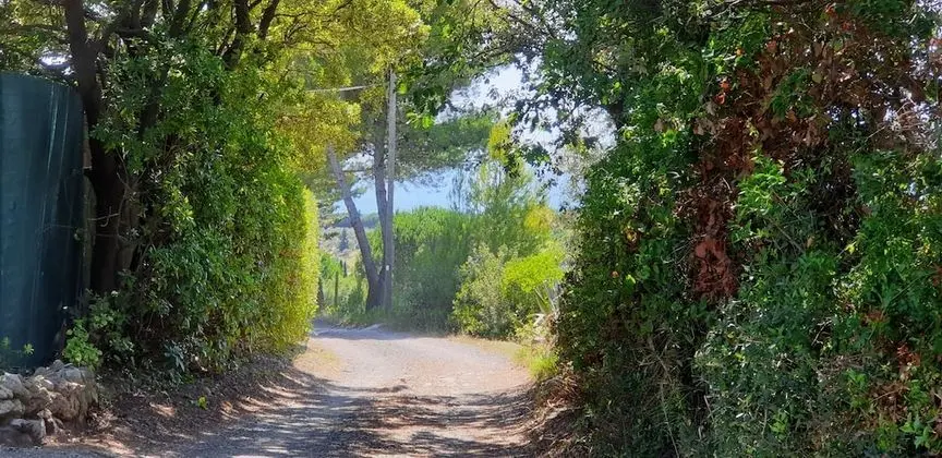 Villa, 5 Yatak Odası, Şömine