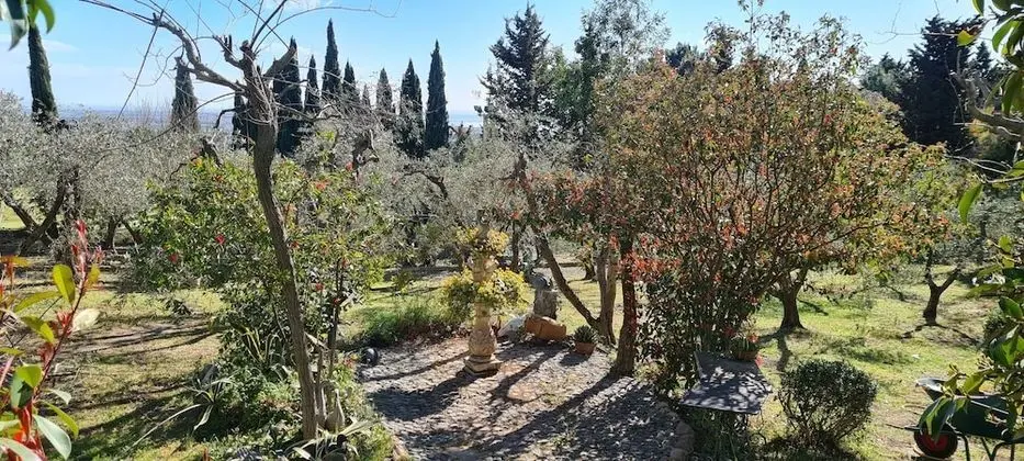 Villa, 5 Yatak Odası, Şömine