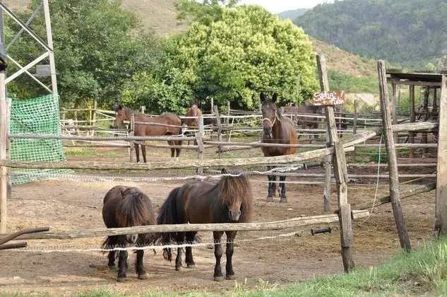 Apart Daire, 1 Yatak Odası, Engellilere Uygun, Sigara İçilebilir