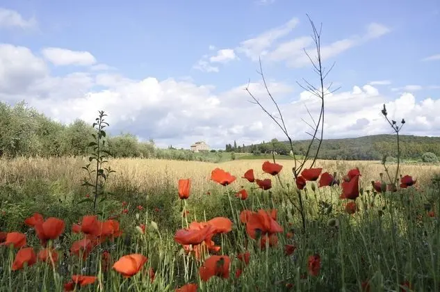 Apart Daire, 1 Yatak Odası, Engellilere Uygun, Sigara İçilebilir