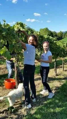 Ev, Birden Çok Yatak