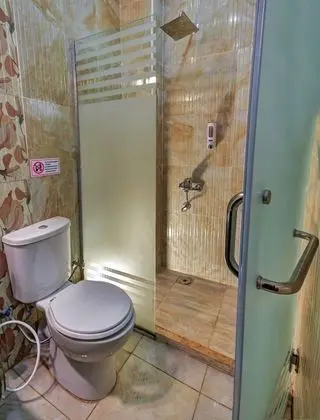 Deluxe Tek Büyük veya İki Ayrı Yataklı Oda