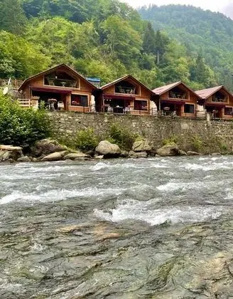 Agaç Ev