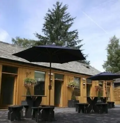 Süit (Mews)