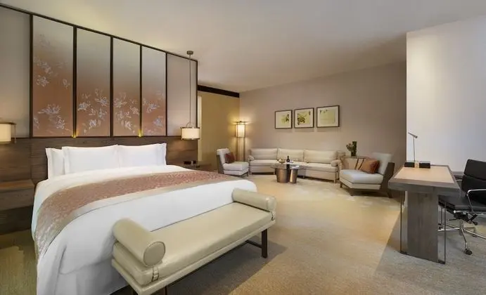 Premium Oda, 1 En Büyük (King) Boy Yatak, Avlu Manzaralı