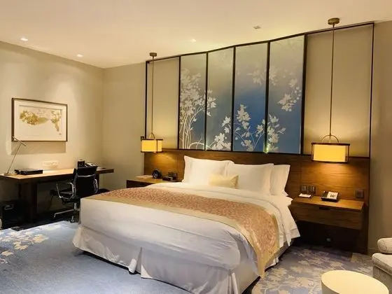 Standard Oda, 1 En Büyük (King) Boy Yatak, Avlu Manzaralı