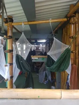 Jungle Room Hammock Shared Mixed Dorm