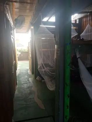 Jungle Room Hammock Shared Mixed Dorm