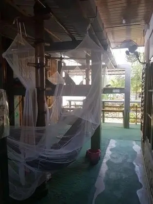 Jungle Room Hammock Shared Mixed Dorm
