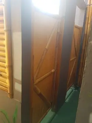 Jungle Room Hammock Shared Mixed Dorm