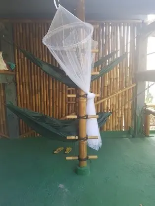 Jungle Room Hammock Shared Mixed Dorm