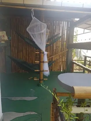 Jungle Room Hammock Shared Mixed Dorm