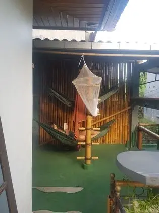 Jungle Room Hammock Shared Mixed Dorm