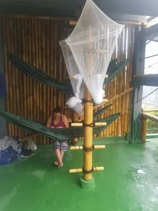 Jungle Room Hammock Shared Mixed Dorm