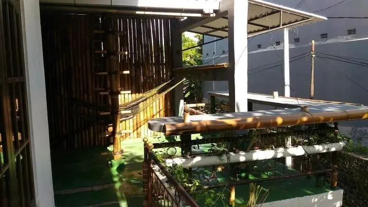 Jungle Room Hammock Shared Mixed Dorm