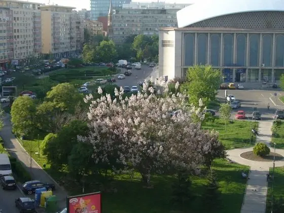 Apart Daire, 1 Yatak Odası, Balkon