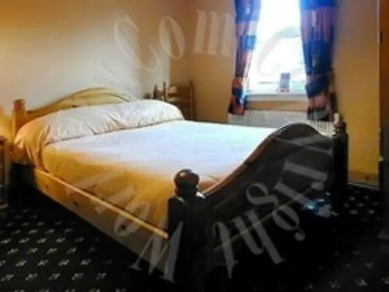Executive Süit, Banyolu/Duşlu (Sleeps 3  Disabled Access)