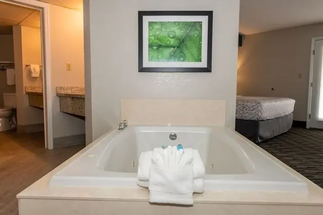 Newly Renovated 1 King Bed with Sofa bed, Fireplace, Jetted Tub, Private Balcony on River