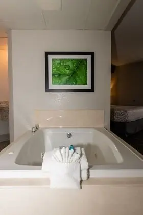 Newly Renovated 1 King Bed with Sofa bed, Fireplace, Jetted Tub, Private Balcony on River