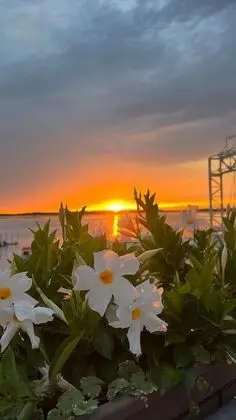 Apart Daire, 2 Yatak Odası, Balkon