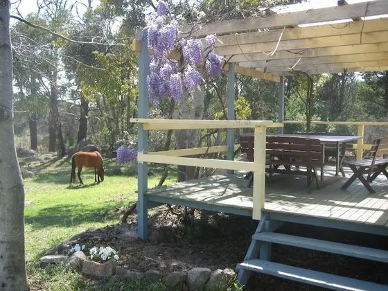 Kır Evi, 3 Yatak Odası, Üzüm Asması Manzaralı