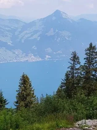 Apart Daire, 2 Yatak Odası, Şömine