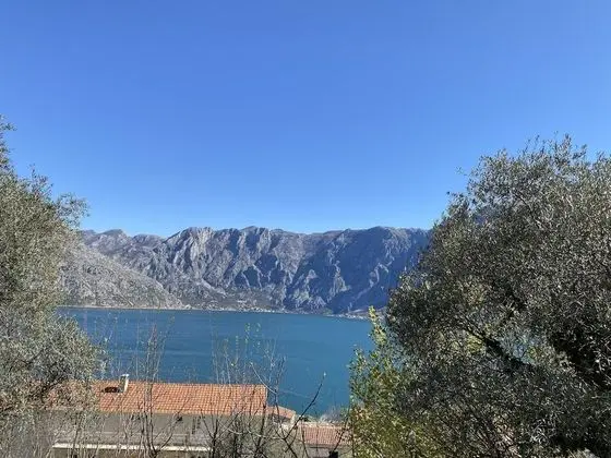 Apart Daire, Birden Çok Yatak
