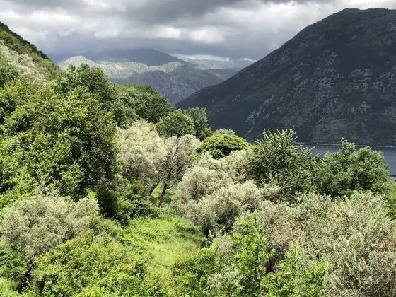 Apart Daire, Birden Çok Yatak