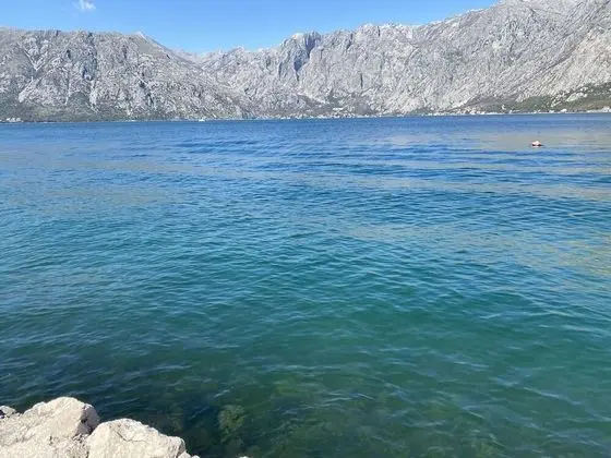Apart Daire, Birden Çok Yatak