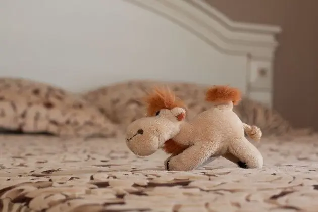 Comfort Apart Daire, 2 Yatak Odası