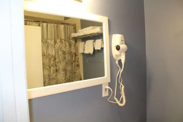 Deluxe Tek Büyük Yataklı Oda (No Pets)
