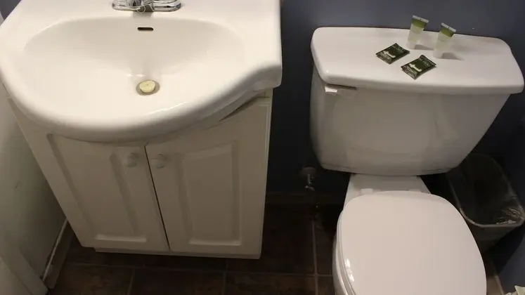 Deluxe Tek Kişilik Oda (No Pets)
