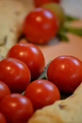 Oda, 1 Yatak Odası, Engellilere Uygun, Balkon