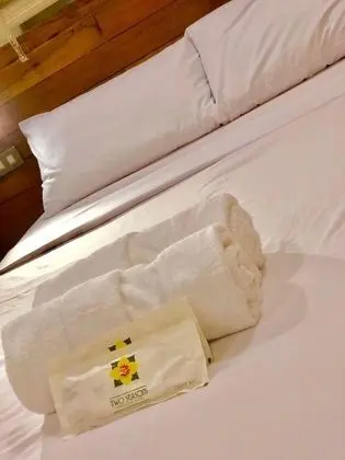 Deluxe İki Ayrı Yataklı Oda