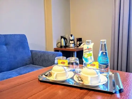 Standard Süit, 1 En Büyük (King) Boy Yatak ve Çekyat, Şehir Manzaralı