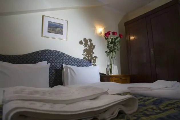 Deluxe Tek Büyük veya İki Ayrı Yataklı Oda