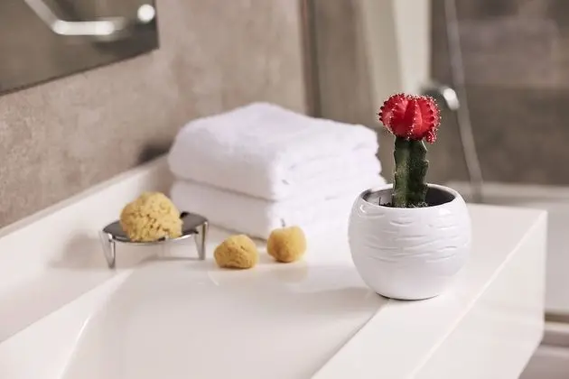 Tek Büyük veya İki Ayrı Yataklı Oda, Bahçe Manzaralı