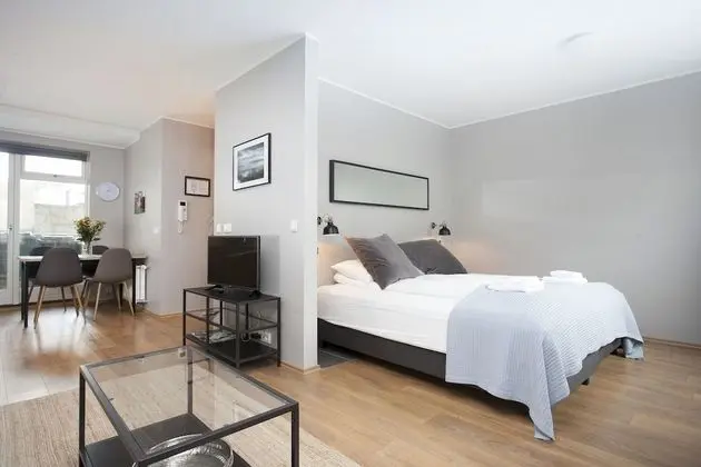 Deluxe Stüdyo, Zemin Kat (incl. Final Cleaning Fee 46 EUR)