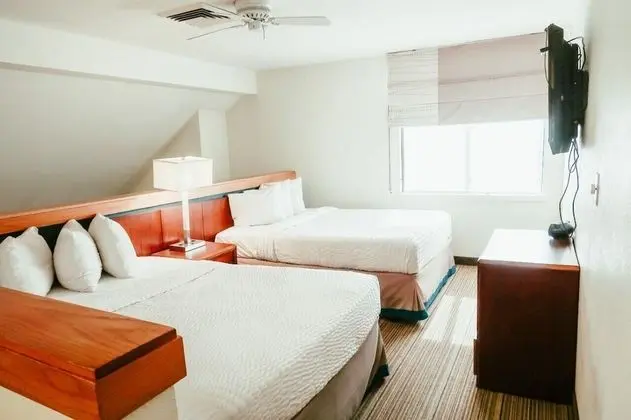 Çatı Katı (Loft)