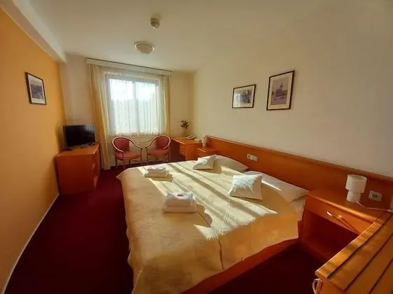 Superior Tek Büyük veya İki Ayrı Yataklı Oda, Şehir Manzaralı