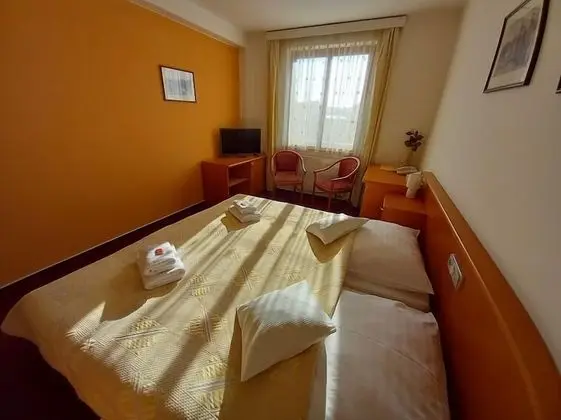 Superior Tek Büyük veya İki Ayrı Yataklı Oda, Şehir Manzaralı