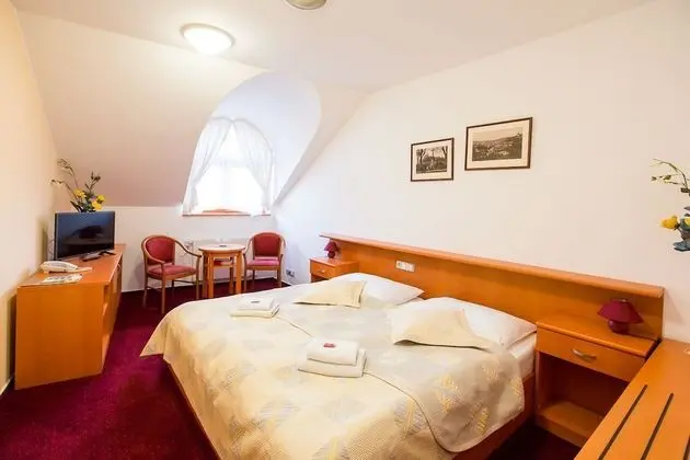 Superior Tek Büyük veya İki Ayrı Yataklı Oda, Şehir Manzaralı