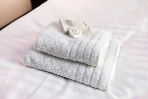 Grand Tek Büyük veya İki Ayrı Yataklı Oda (Large Bathroom)