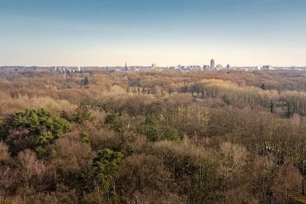 Superior Tek Büyük veya İki Ayrı Yataklı Oda, Park Manzaralı
