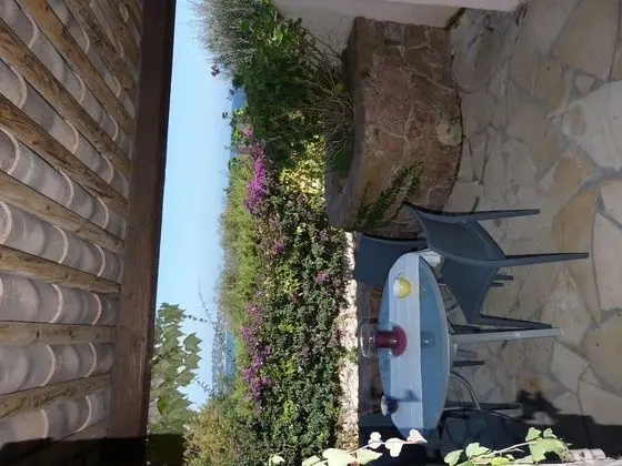 Stüdyo